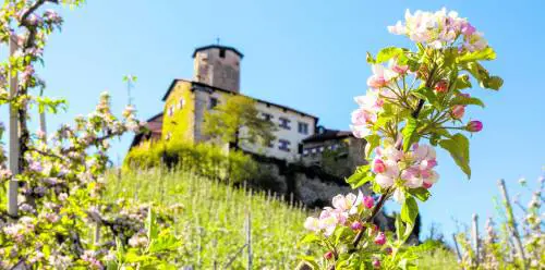 Misteri e antichità della Val di Non, lo "spicchio" d'Italia con 155 castelli