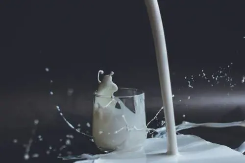 Cosa accade se si aggiungono proteine a latte o yogurt