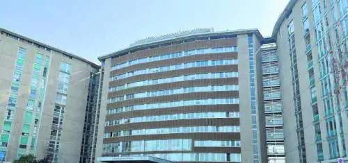 Moderno e funzionale ecco come diventerà il nuovo San Paolo