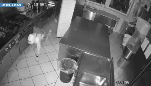 Preso il "ladro gattonatore", numerosi furti in negozi e ristoranti di Verona
