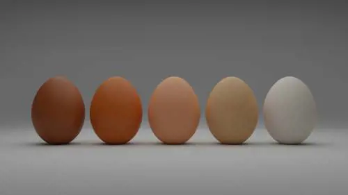 Quali uova sono più salutari