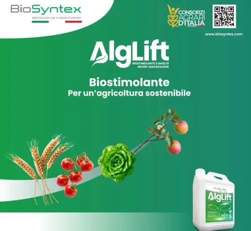 Biosyntex presenta ALGLIFT™ a Macfrut 2025