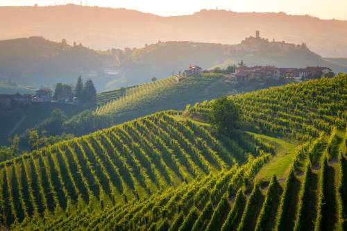 Parusso, in ascolto del Barolo