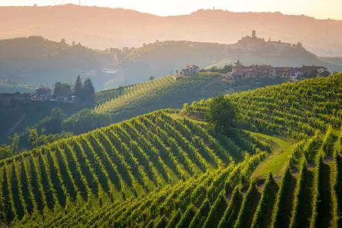 Parusso, in ascolto del Barolo