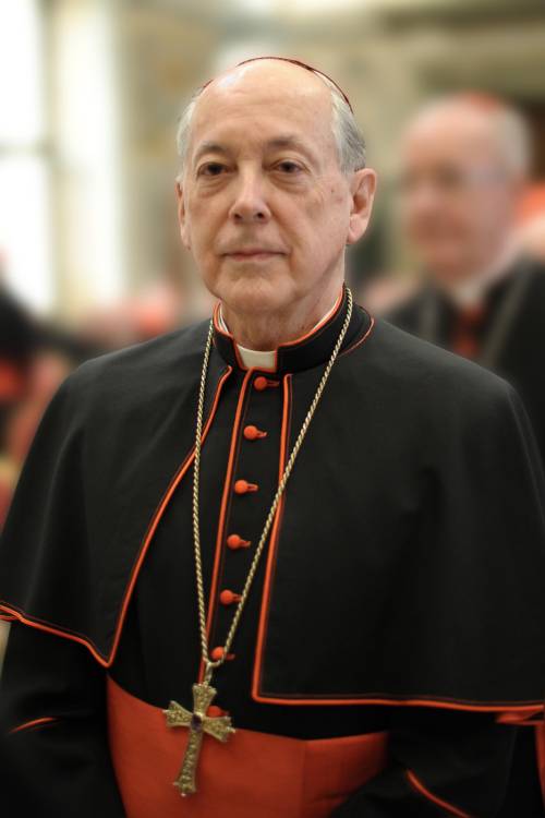 Le mosse dei cardinali e i veleni: "Per il 7 avremo il nome giusto"