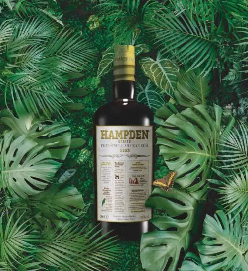 Hampden 1753. Il benvenuto in Giamaica