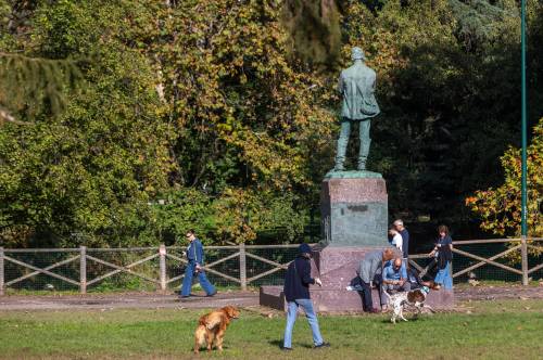 "Orticola", dalle piante anti infiammatorie alle carnivore acquatiche
