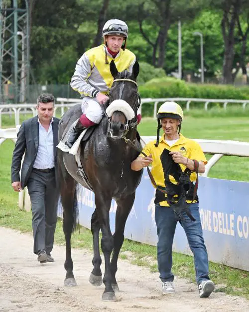 Goldenas al rientro dopo il In a Tiff (Rm) f.te Ippodromo capannelle