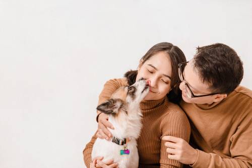 https://img.ilgcdn.com/sites/default/files/styles/md/public/foto/2025/05/09/1746804407-dog-8147318-1920.jpg?_=1746804407