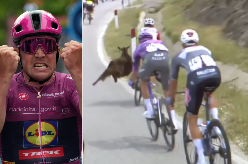 https://img.ilgcdn.com/sites/default/files/styles/md/public/foto/2025/05/11/1746978087-capra-giro-presse.png?_=1746978087