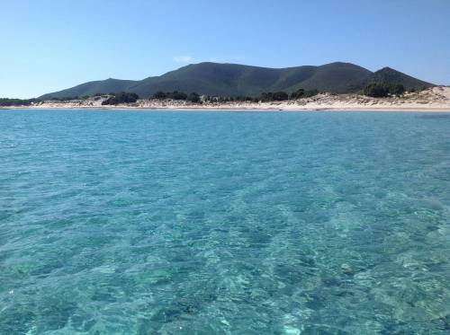 https://img.ilgcdn.com/sites/default/files/styles/md/public/foto/2025/05/13/1747134469-sardinia-574129-1280.jpg?_=1747134469