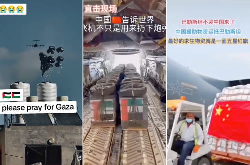 "La Cina salva Gaza". la verità dietro i video virali che inondano TikTok "La Cina salva Gaza". la verità dietro i video virali che inondano TikTok