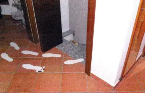 Pm, politici e salotti. Così il delitto svela il grumo di potere che avvelena Pavia