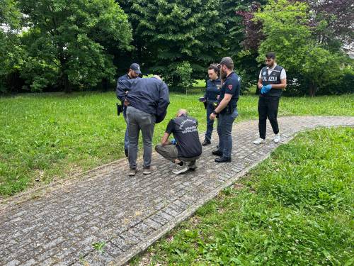feto abbandonato in un parco il ritrovamento choc a parma