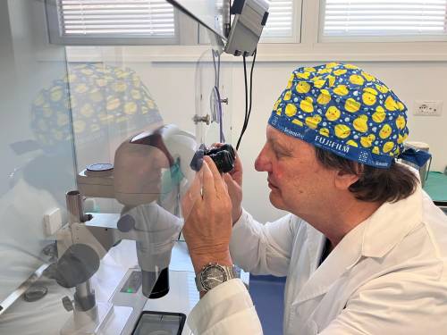procreazione assistita greco s i d r sentenza consulta su pma penalizza donne single