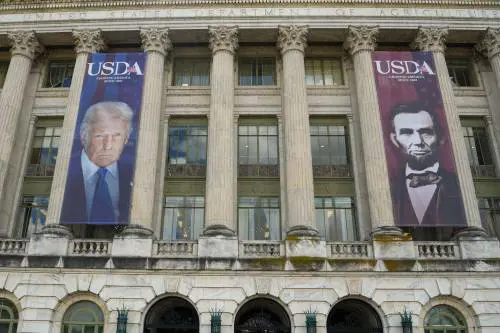 "È come un dittatore". Cosa c'è dietro lo striscione di Trump che fa impazzire i dem Usa
