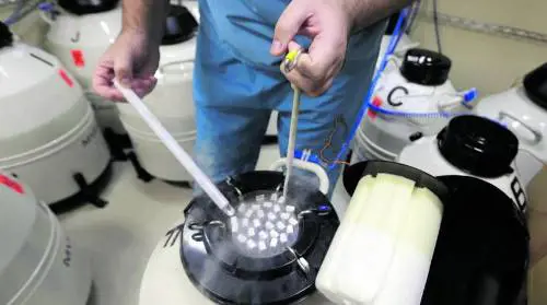 Il donatore malato e la banca del seme. Nati 67 bambini a rischio di tumore