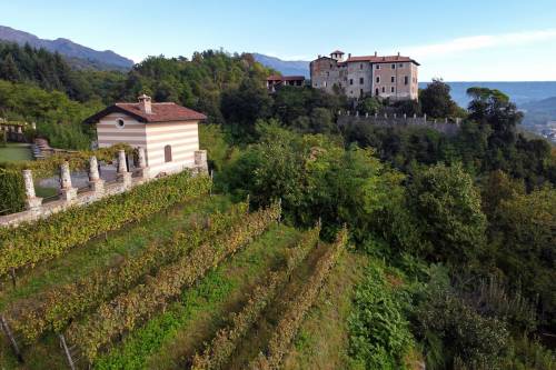 Erbaluce di Caluso, la luce dell’alba