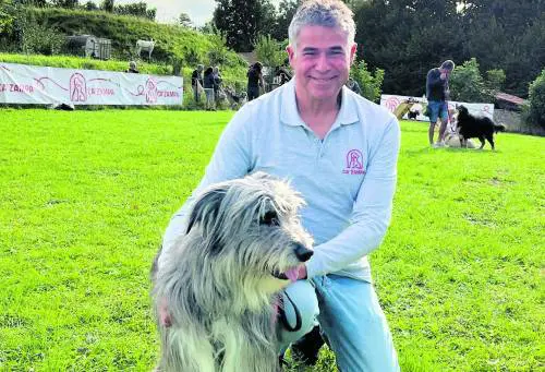 Rumori, folla e poco verde: i cani soffrono di stress da metropoli