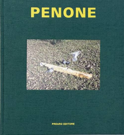 Prearo e le Alpi Marittime di Penone