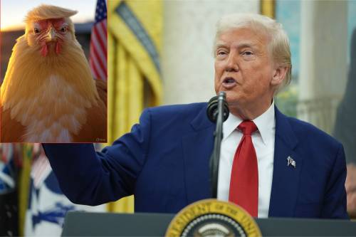 Trump si infuria per il soprannome "Taco", ed è subito meme: ecco i più virali