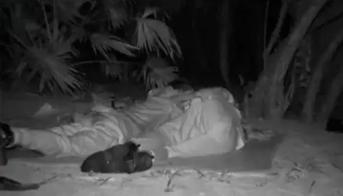 Momento hot a L'Isola dei Famosi: cosa è successo