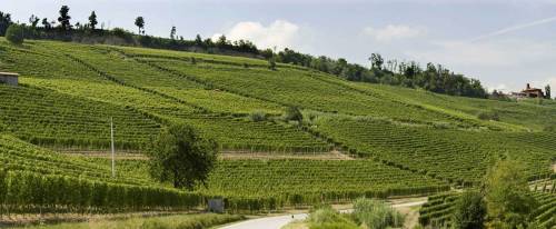 Poderi Luigi Einaudi, degustando la storia