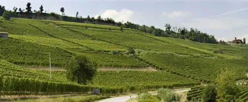 Poderi Luigi Einaudi, degustando la storia
