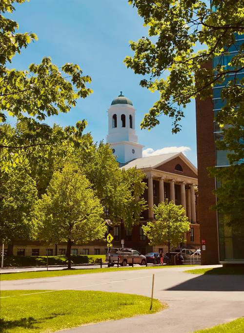 Università, Cina in cattedra. Ma Harvard resta la prima