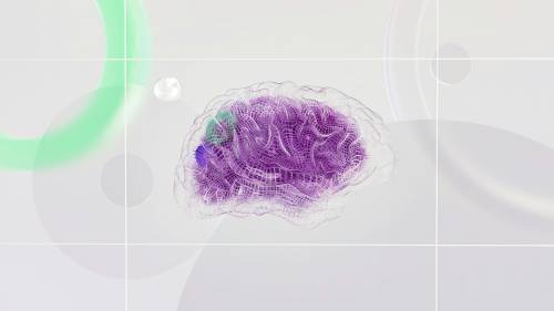 Neuroscienze, a Ponza via alla tre giorni