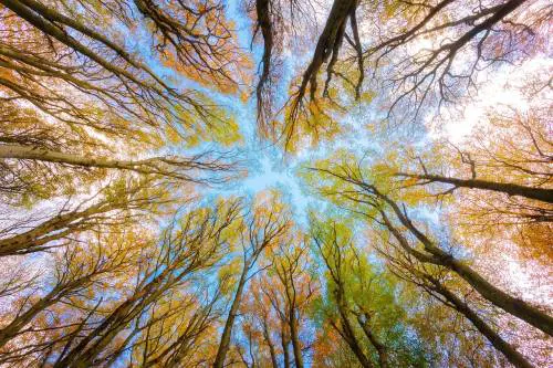 Ambiente d’Italia: informazione ambientale libera, basata su dati e fatti 