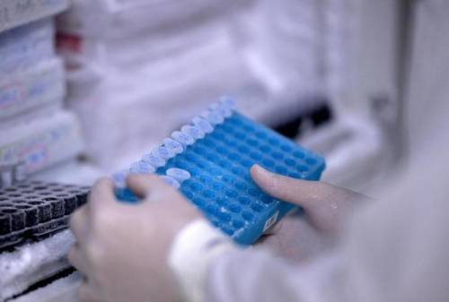 https://img.ilgcdn.com/sites/default/files/styles/md/public/foto/2025/06/05/rs_98_laboratorio_ricerca_afp-1.jpg?_=1749121203