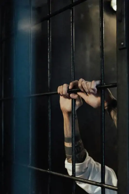 Criminal minds