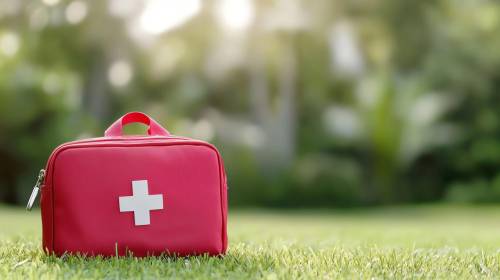https://img.ilgcdn.com/sites/default/files/styles/md/public/foto/2025/06/09/kit-automedicazione-free.jpeg?_=1749485703