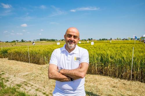 Consorzi Agrari a quota 800 milioni