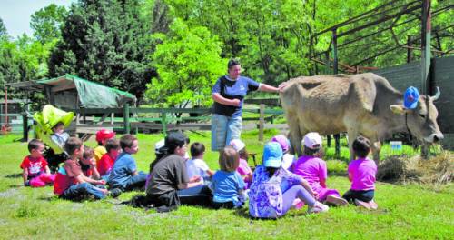 Campus estivi in fattoria tra l'orto e gli animali