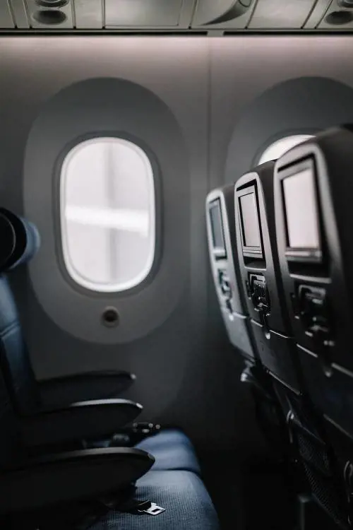 Cibo in aereo, ecco quali alimenti si possono portare a bordo e quali no