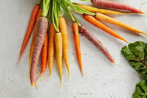 Mangiare carote favorisce davvero l'abbronzatura? Cosa dicono gli esperti