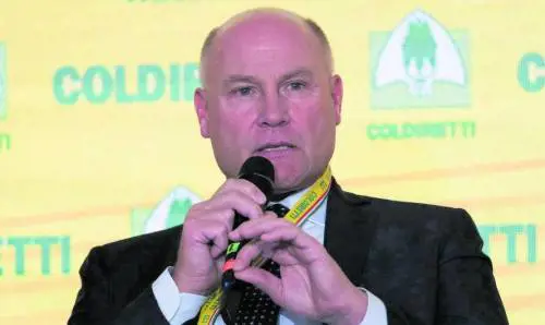 BF, Vecchioni alla presidenza