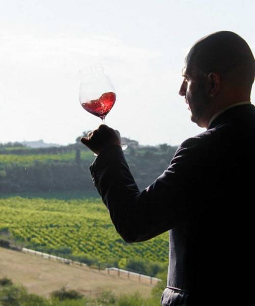 Laqua Vineyard, tra la Toscana e il Piemonte