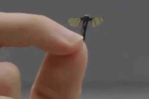 Il drone super stealth della Cina: come funziona il robot zanzara 