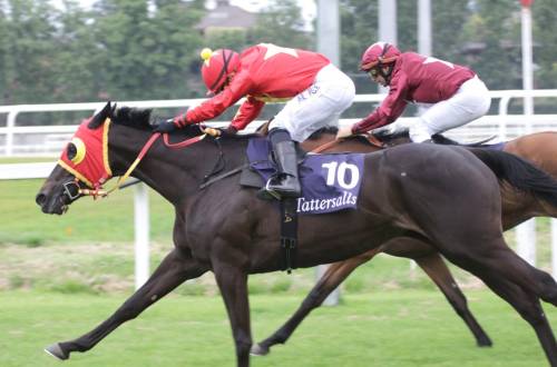Oaks d'Italia, arrivo 2024