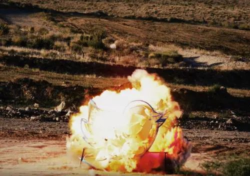 Esplode nel deserto Larry, l'uccellino di Twitter. Ecco chi c'è dietro