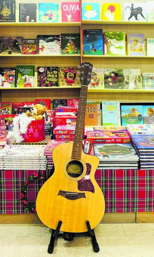 Librerie e botteghe addio: giù come birilli di storia