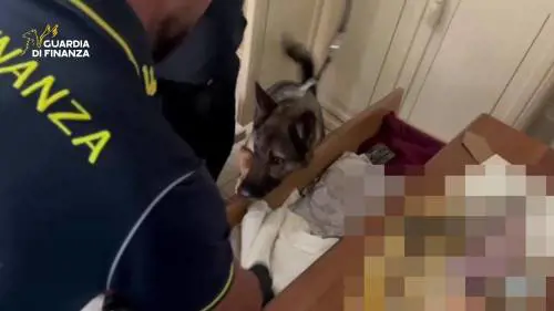 I rider della cocaina con zainetto e bici elettrica: sgominata la "drug delivery" alla palermitana