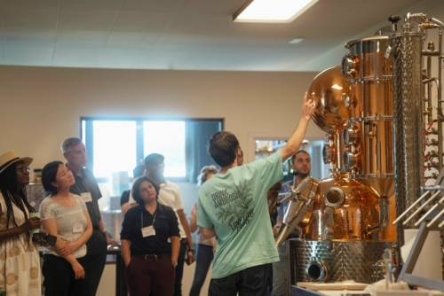 Ambrosia, il gin (italiano) a emissioni zero