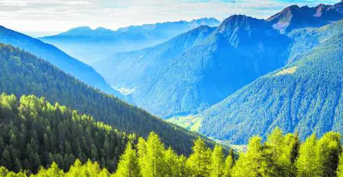 Ghiacciai maestosi, esemplari unici e trenta vette a 3000 metri di quota