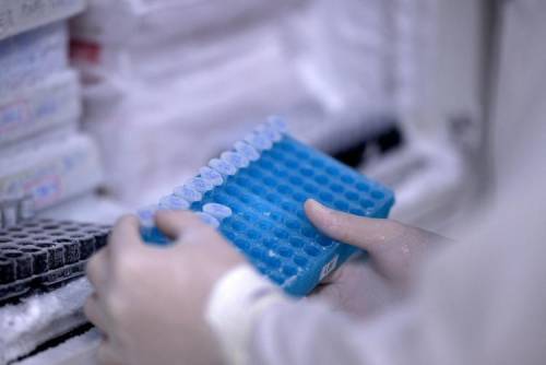 https://img.ilgcdn.com/sites/default/files/styles/md/public/foto/2025/06/26/laboratorio_ricerca_afp.jpeg?_=1750943703