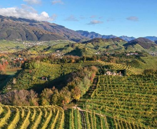 La Tordera: radici profonde, sguardo lungo
