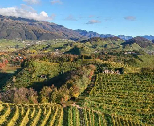 La Tordera: radici profonde, sguardo lungo